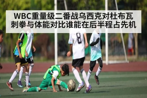 WBC重量级二番战乌西克对杜布瓦刺拳与体能对比谁能在后半程占先机